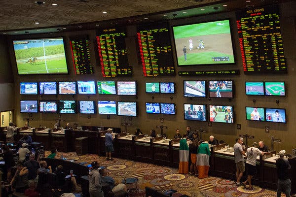 Give the right start to your internet sports betting business
