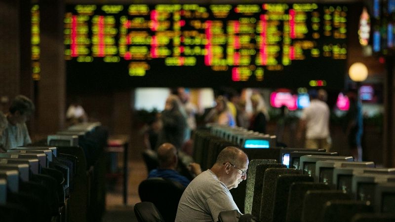 The way a sports gambling guide helps you